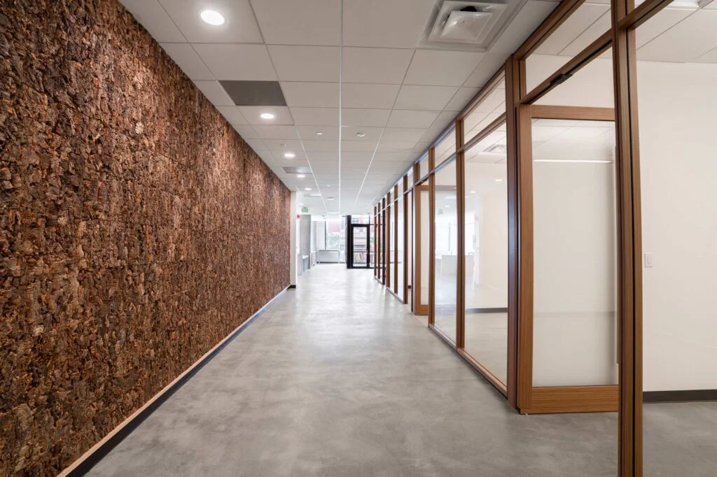 Hallway with a cork accent wall and glass-walled offices framed in wood