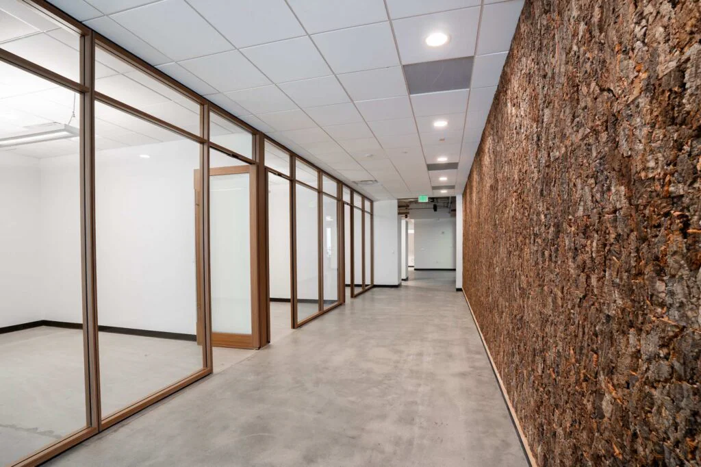 Office corridor with glass-walled meeting rooms, wood door frames and a cork accent wall