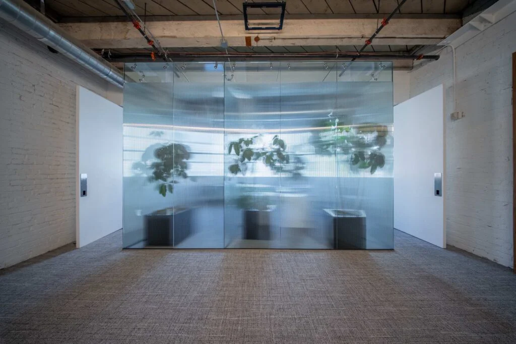 Head-on view of a frosted glass conference room filled with potted plants, set between two white doors