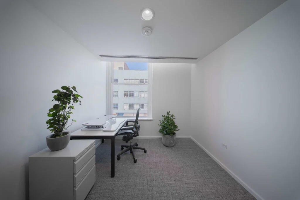 Small private office with a height-adjustable desk, task chair, and potted plants beside a window