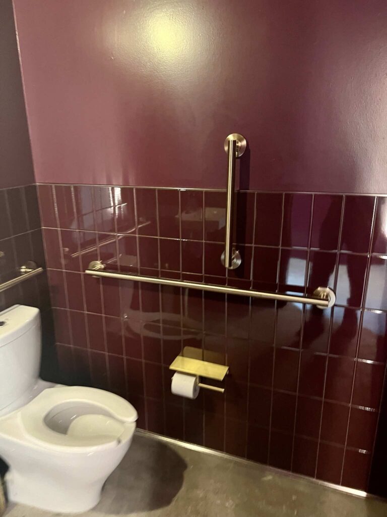 Brass grab bar and toilet paper holder mounted on maroon tile above a toilet