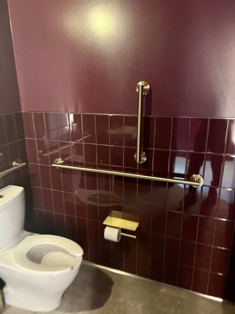 Brass grab bar and toilet paper holder mounted on maroon tile above a toilet
