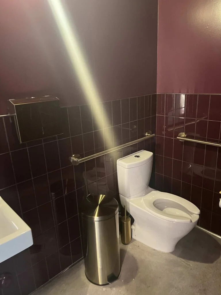 Toilet with brass trash can and toilet brush holder in a maroon-tiled restroom